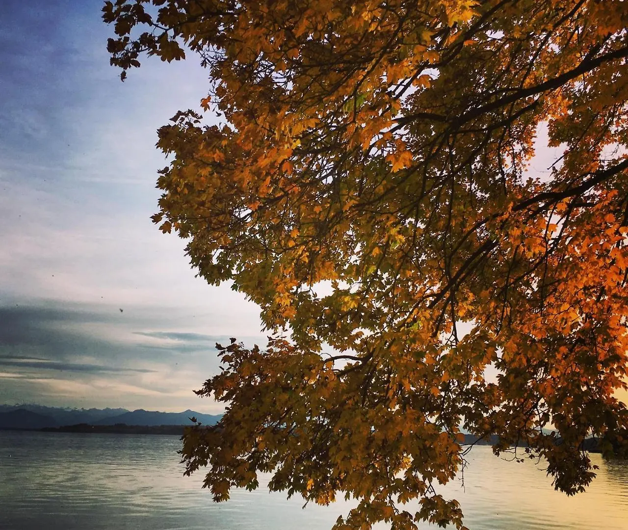 Boutique Hotel Reschen Tutzing